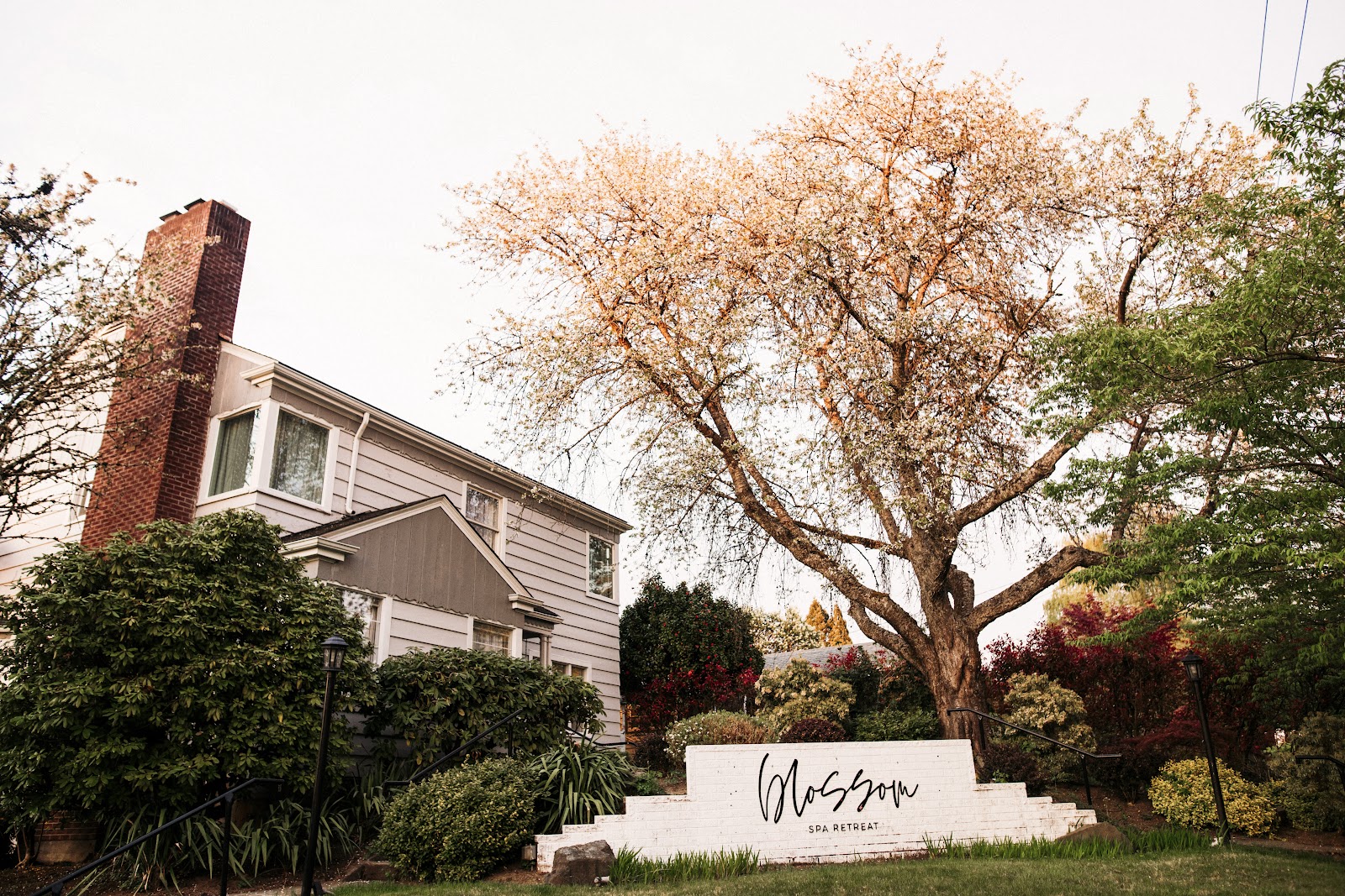 Blossom Spa Retreat - Nail Salon in Olympia