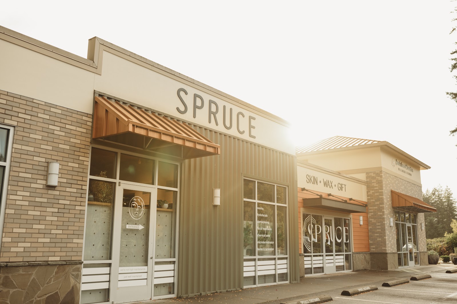 Spruce Skin & Wax Shoppe - Hair Salon in Olympia